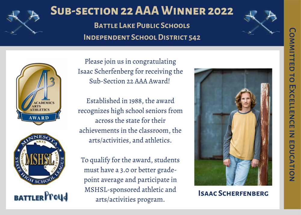Sub-Section 22 AAA Award